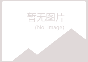 白银平川夏槐艺术有限公司